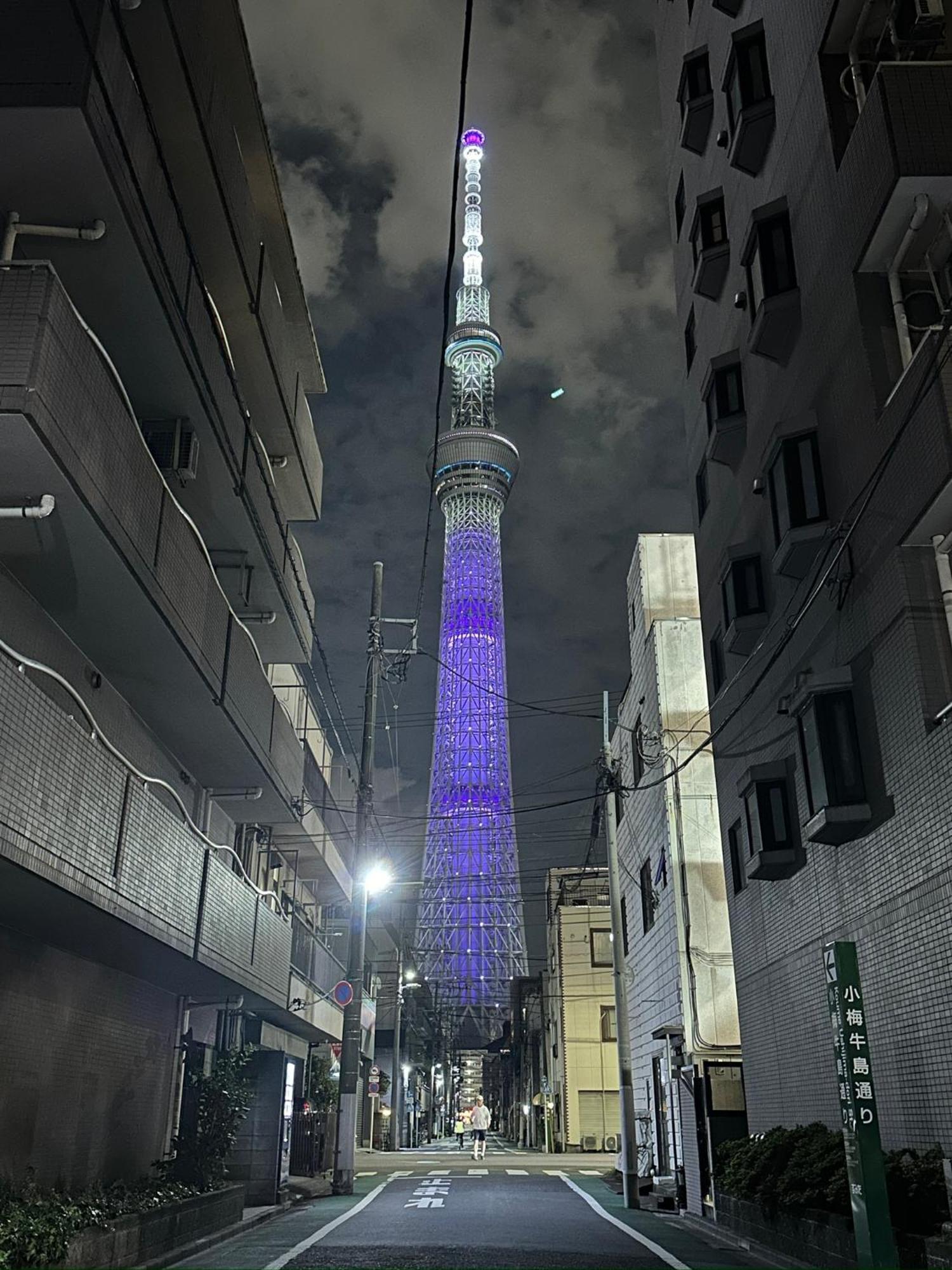 Appartamento Wise Park Mukojima Tokyo Esterno foto
