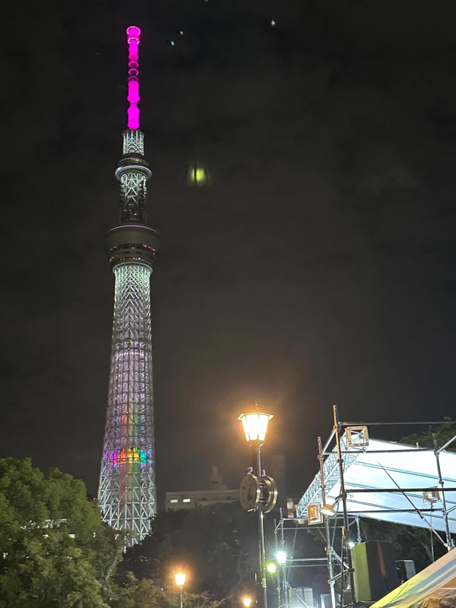 Appartamento Wise Park Mukojima Tokyo Esterno foto